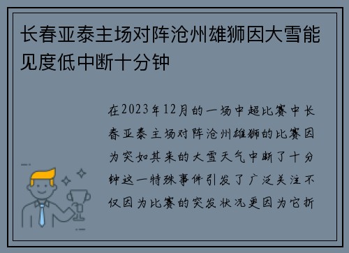 长春亚泰主场对阵沧州雄狮因大雪能见度低中断十分钟